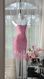 Vintage Pink Sparkling Sequin Spaghetti Strap Tassels Hem Romantic Evening Dress Prom Dresses HZ0319