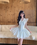 Pretty V-neck Lace-up Sleeveless Lace Tiered Pleated Homecoming Dress Party Dress HZ0319