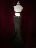 Stunning Prom Dress Halter Backless Evening Dress Prom Gown Gala Dress Business Dinner Dress HZ0319