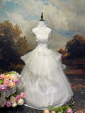 Elegant Wedding Dress Strapless Tulle Ball Gown Evening Dress Prom Dress HZ0319