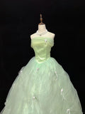 Sweet Prom Dress Strapless Pleated Tulle Birthday Dress Evening Dress Ball Gown HZ0319
