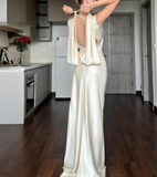 Charming Prom Dress High Collar Backless Pleated Long Evening Dress Gala Dress HZ0319