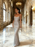 Shiny Prom Dress Straps Backless Fit Birthday Party Dress Cocktail Dress HZ0319