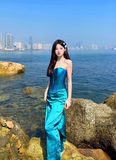 Beauty Prom Dress Sweetheart Fitted Evening Dress Cocktail Dress Birthday Party Outfits HZ0319