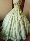 Charming Prom Dress One Shoulder Pleated Tulle Ball Gown Evening Dress Quinceanera Dress Birthday Party Outfits HZ0319