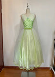 Pretty Prom Dress V-neck Pleated Tulle Gala Dress Evening Dress Formal Dress HZ0319