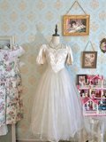 Vintage Prom Dress Square Neck Pleated Tulle Gala Dress Formal Dress Evening Dress HZ0319