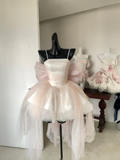 Soft Pink Spaghetti Straps A-Line Tulle Short Party Dresses Birthday Outfits, HZ0319