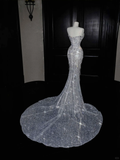 Glitter Strapless Mermaid Beading Tassel Long Evening Dress Birthday Outfits, HZ0319